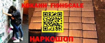 гидра Кимры