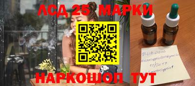 гидра Кимры