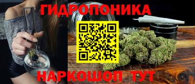 гидра Кимры
